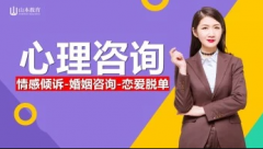 ɽ�������������������ѯ����